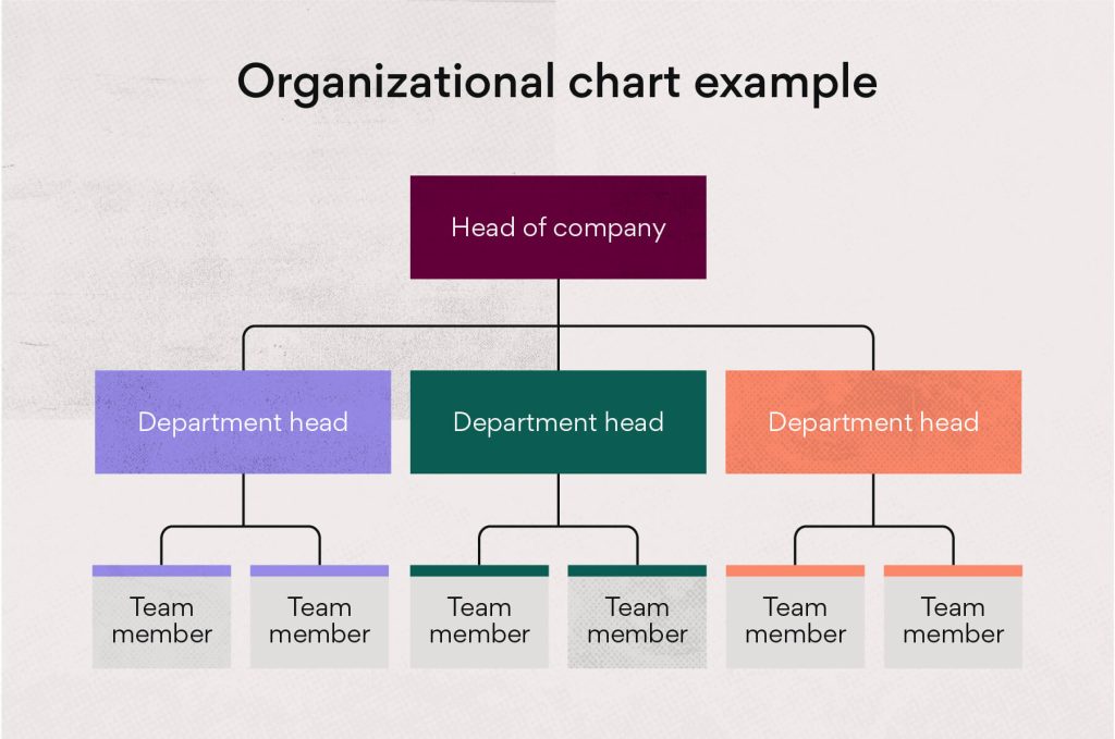 company organization chart template